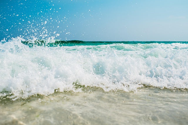 How to Protect Your Electronics from Humidity in the Caribbean Climate