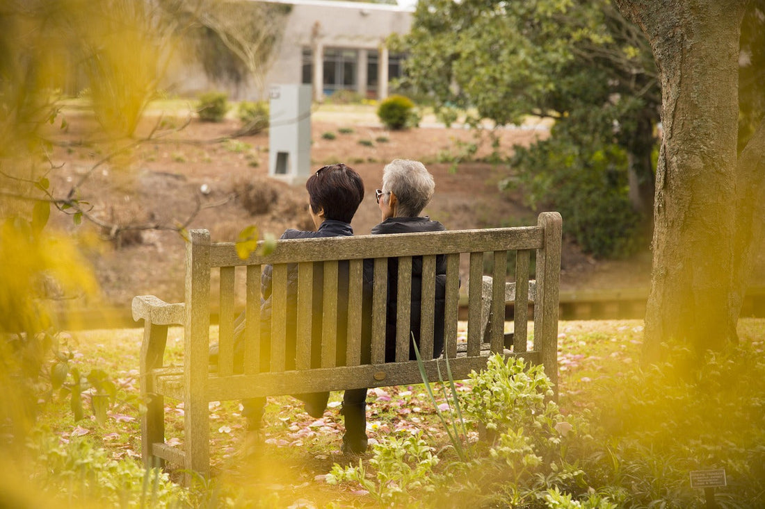 How Digital Inclusion Keeps the Mind Young: What Science Says About Internet Use, Aging, and Cognitive Health
